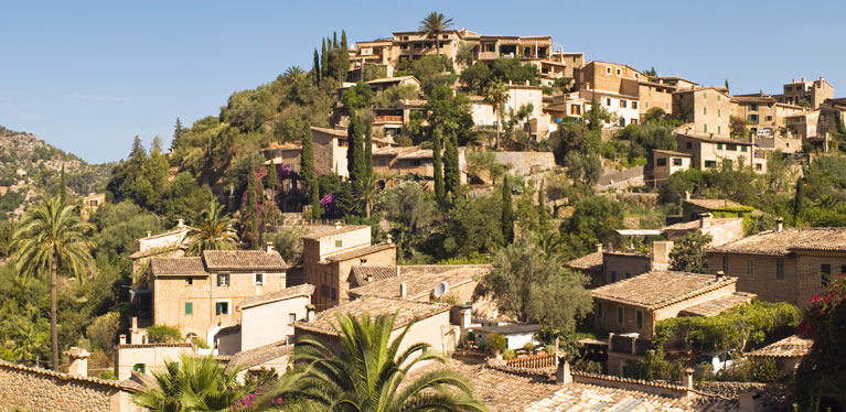 Media Image